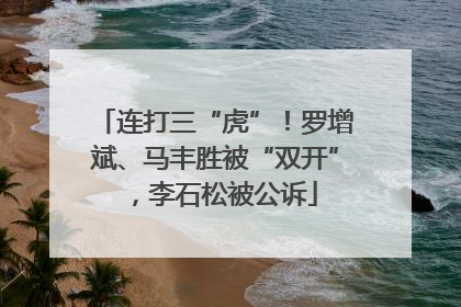 连打三“虎”！罗增斌、马丰胜被“双开”，李石松被公诉