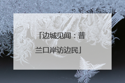 边城见闻：普兰口岸访边民