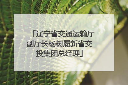辽宁省交通运输厅副厅长杨树履新省交投集团总经理