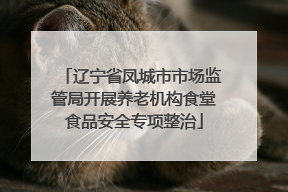 辽宁省凤城市市场监管局开展养老机构食堂食品安全专项整治