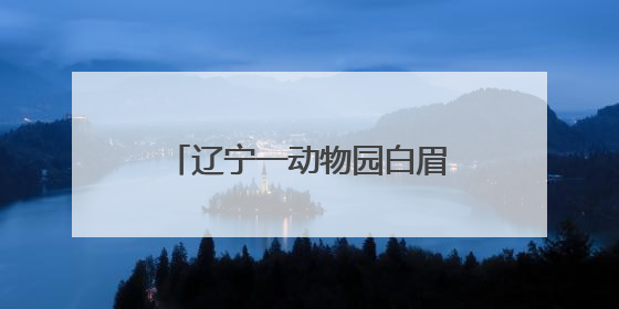 辽宁一动物园白眉长臂猿猴高考期间不对外展出，园方：它们一高兴就喜欢鸣叫，怕影响考试