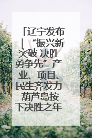 辽宁发布｜“振兴新突破 决胜勇争先”产业、项目、民生齐发力 葫芦岛按下决胜之年“加速键”