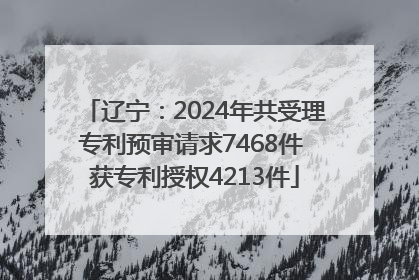 辽宁：2024年共受理专利预审请求7468件 获专利授权4213件