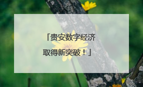 贵安数字经济取得新突破！