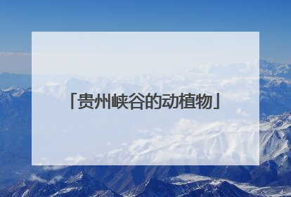 贵州峡谷的动植物