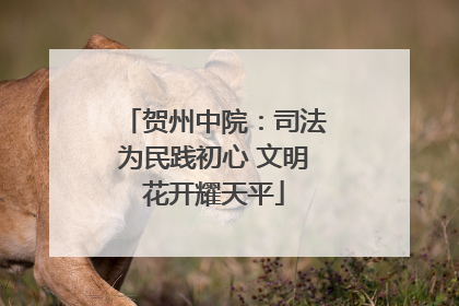 贺州中院：司法为民践初心 文明花开耀天平