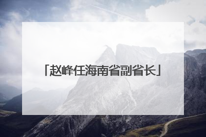 赵峰任海南省副省长