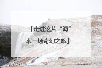 走进这片“海”来一场奇幻之旅