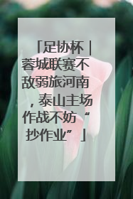 足协杯｜蓉城联赛不敌弱旅河南，泰山主场作战不妨“抄作业”