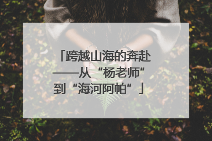 跨越山海的奔赴——从“杨老师”到“海河阿帕”