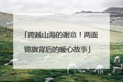 跨越山海的谢意！两面锦旗背后的暖心故事