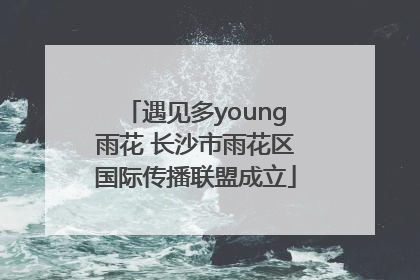 遇见多young雨花 长沙市雨花区国际传播联盟成立