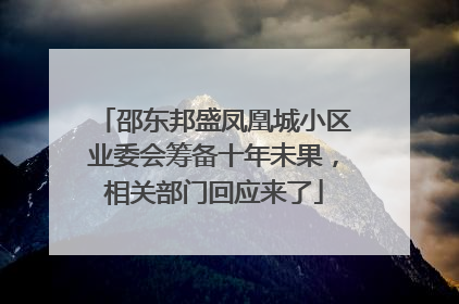 邵东邦盛凤凰城小区业委会筹备十年未果，相关部门回应来了