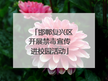 邯郸复兴区开展禁毒宣传进校园活动