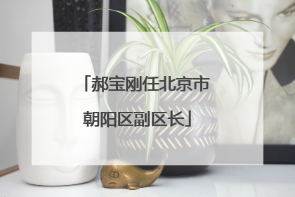 郝宝刚任北京市朝阳区副区长