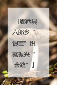 郧西县六郎乡“银茧”织就振兴“金路”