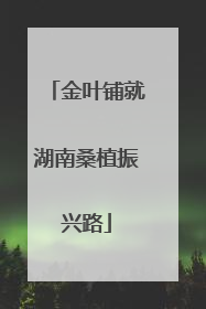 金叶铺就湖南桑植振兴路