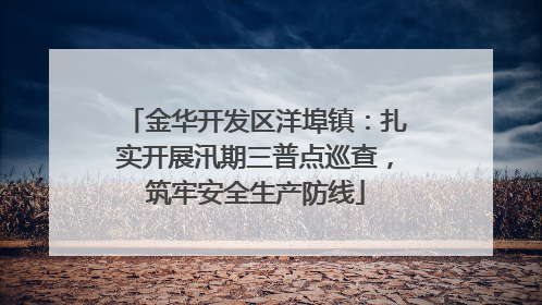 金华开发区洋埠镇：扎实开展汛期三普点巡查，筑牢安全生产防线