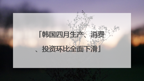 韩国四月生产、消费、投资环比全面下滑