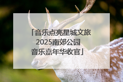 音乐点亮星城文旅 2025南郊公园音乐嘉年华收官