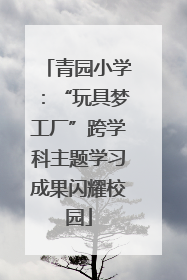 青园小学：“玩具梦工厂”跨学科主题学习成果闪耀校园