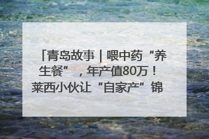 青岛故事｜喂中药“养生餐”，年产值80万！莱西小伙让“自家产”锦鲤“游”向全国