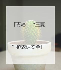 青岛：“三夏”护农话安全