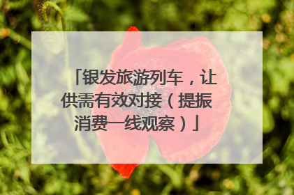 银发旅游列车，让供需有效对接（提振消费一线观察）