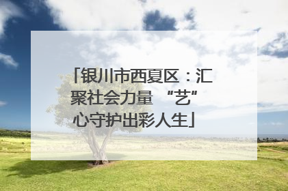 银川市西夏区：汇聚社会力量 “艺”心守护出彩人生
