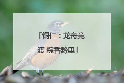 铜仁：龙舟竞渡 粽香黔里