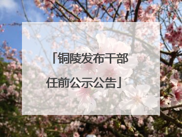 铜陵发布干部任前公示公告