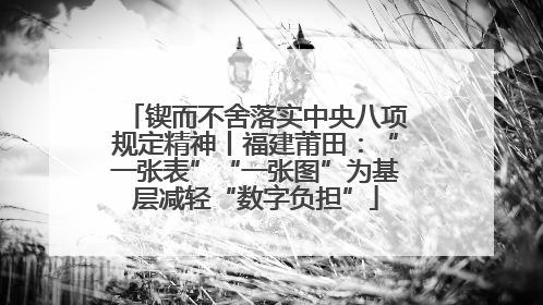 锲而不舍落实中央八项规定精神丨福建莆田：“一张表”“一张图”为基层减轻“数字负担”