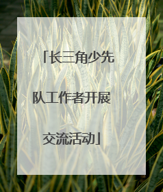 长三角少先队工作者开展交流活动
