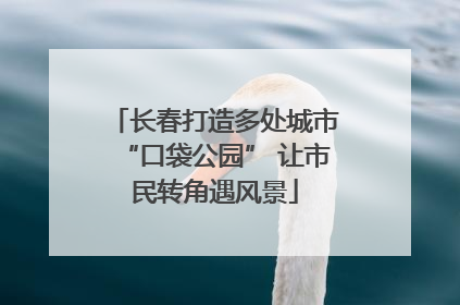 长春打造多处城市“口袋公园” 让市民转角遇风景