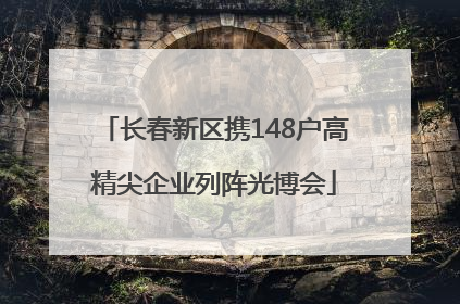 长春新区携148户高精尖企业列阵光博会