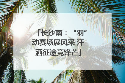 长沙南：“羽”动赛场展风采 汗洒征途竞锋芒