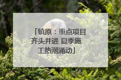 镇原：重点项目齐头并进 夏季施工热潮涌动