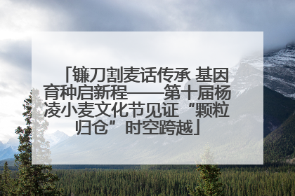 镰刀割麦话传承 基因育种启新程——第十届杨凌小麦文化节见证“颗粒归仓”时空跨越