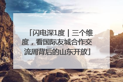 闪电深1度｜三个维度，看国际友城合作交流周背后的山东开放