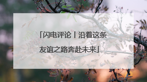 闪电评论丨沿着这条友谊之路奔赴未来