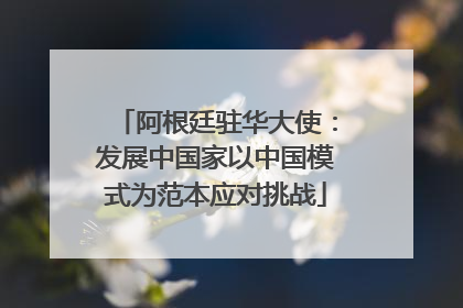 阿根廷驻华大使：发展中国家以中国模式为范本应对挑战