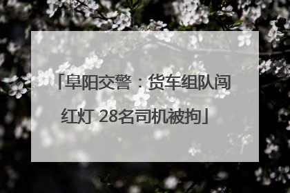 阜阳交警：货车组队闯红灯 28名司机被拘