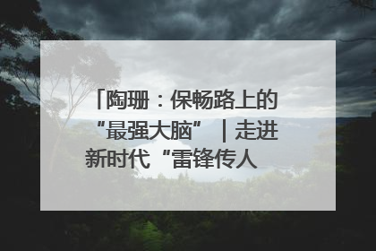 陶珊：保畅路上的“最强大脑”｜走进新时代“雷锋传人 长沙榜样”
