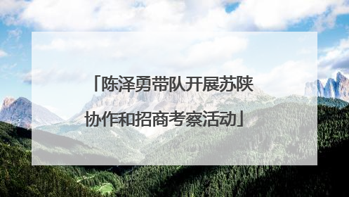 陈泽勇带队开展苏陕协作和招商考察活动