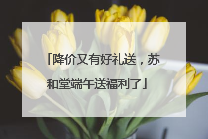 降价又有好礼送，苏和堂端午送福利了