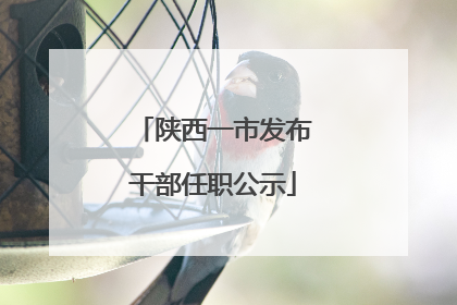 陕西一市发布干部任职公示