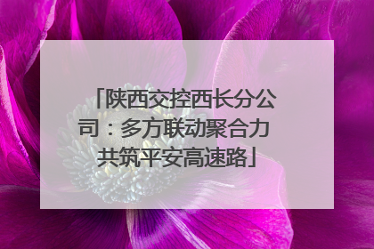 陕西交控西长分公司：多方联动聚合力 共筑平安高速路