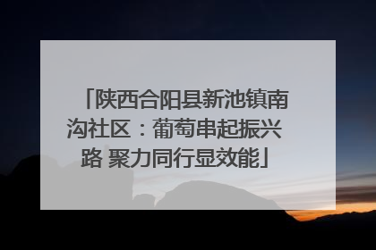 陕西合阳县新池镇南沟社区：葡萄串起振兴路 聚力同行显效能