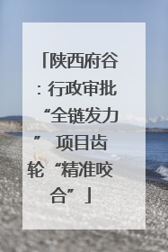 陕西府谷：行政审批“全链发力” 项目齿轮“精准咬合”