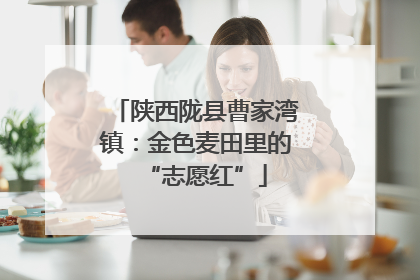 陕西陇县曹家湾镇：金色麦田里的“志愿红”